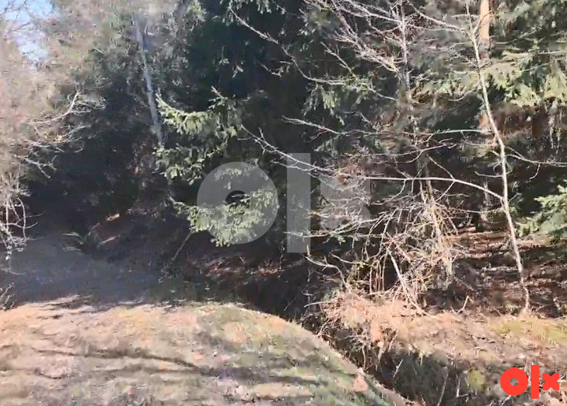 Imanje kuća plac vikendica 25km od Banja Luka 2