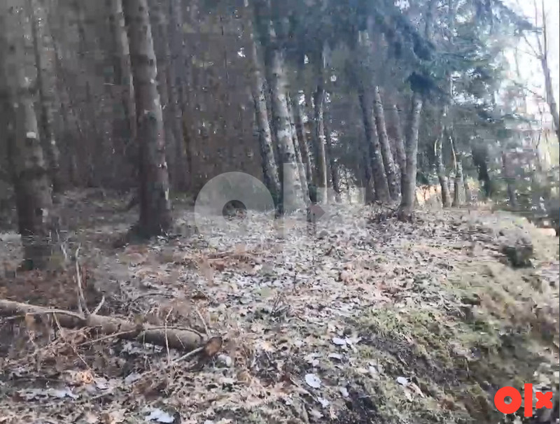 Imanje kuća plac vikendica 25km od Banja Luka 6