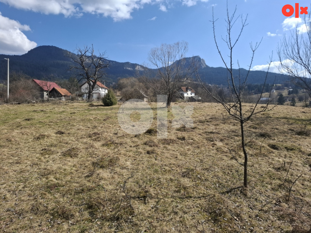 Odlican plac, Mokro, 7.500m2, papiri 1/1, 3