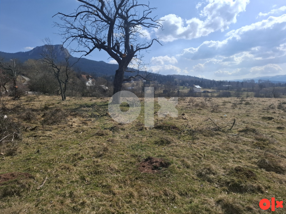 Odlican plac, Mokro, 7.500m2, papiri 1/1, 2