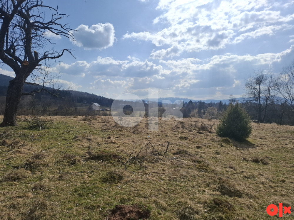 Odlican plac, Mokro, 7.500m2, papiri 1/1,
