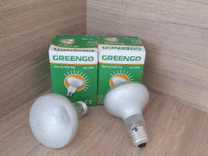 Sijalica 100w R80 GO-2080