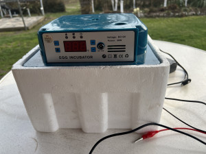 Inkubator za jaja pilice pilici koke kokoske 16 jaja