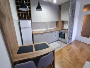 Najam - dvosoban stan 44m2 - ul. Vojvode R. Putnika