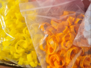 Prstenje za koke 100 komada sa brojevima od 1 do 100