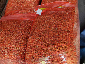 Sjemenski luk Stuttgarter 25/1 8-21