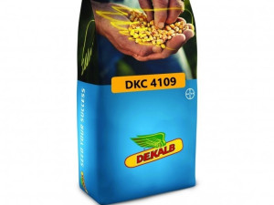 DEKALB 4109 (FAO 320)