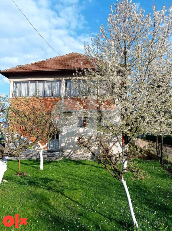 Doglodi-Imanje s kućom, poslovnim prostorom i dulumom zemljišta photo 4