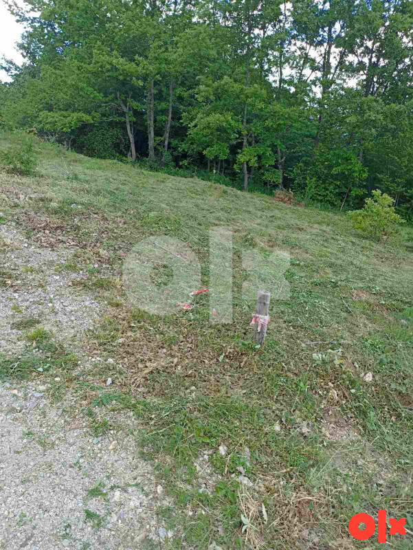 Zemljište Bosanska Krupa 2500m2