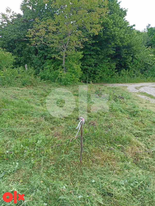Zemljište Bosanska Krupa 2500m2 2