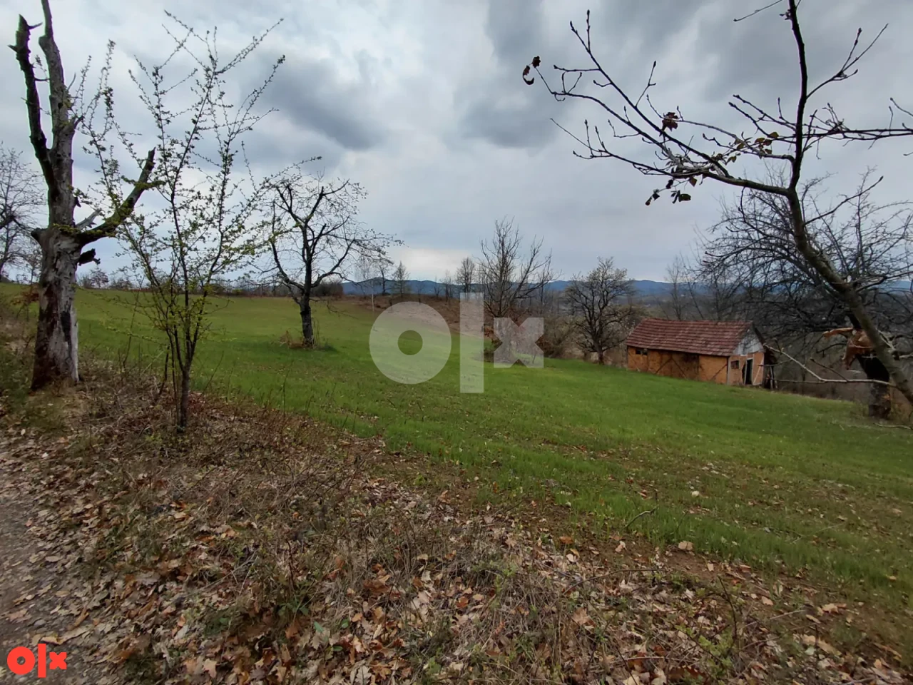 Zemljište Aleksići 96000m2 2