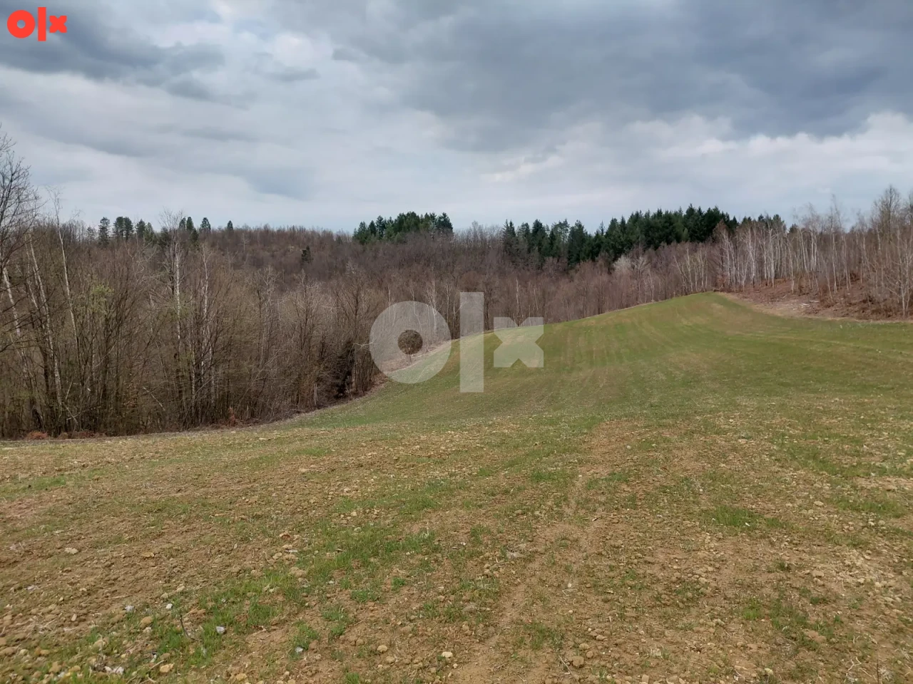 Zemljište Aleksići 96000m2