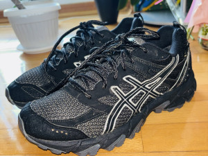 Ženske patike ASICS GORE-TEX