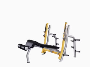 4LIFE FITNESS MAGNUM - OLYMPIC BENCH DECLINE