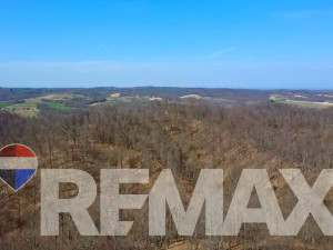 Zemljište sa šumom, 97 duluma-opština Prnjavor