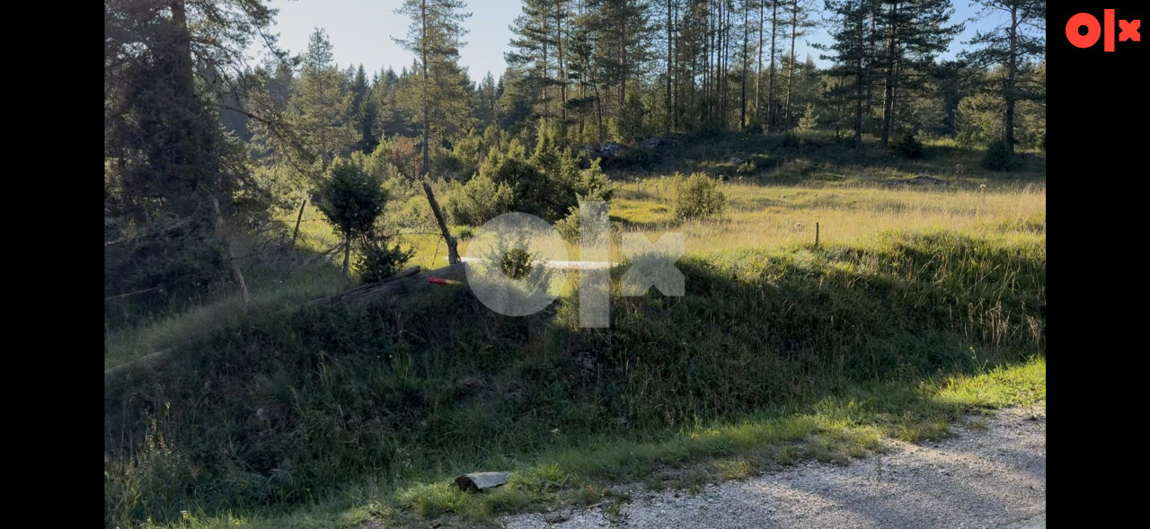 Zemljište Ravna Romanija do ceste 2