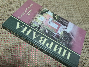 Nirvana, Vladislav Petković Dis