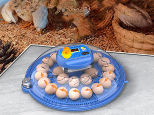 Inkubator automatski 54 jajeta