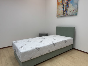 Francuski ležaj / Krevet Pixel 90x200cm