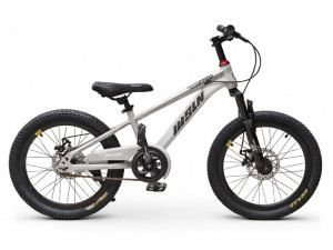 MSLN Dječji bicikl 20"