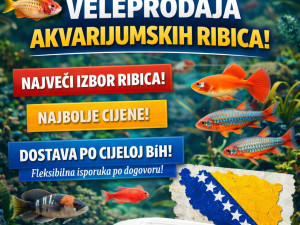 Ribice VELEPRODAJA