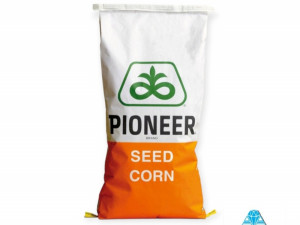 Sjemenski kukuruz - PIONEER 0725