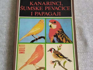 Bora Vasić - Kanarinci, šumske pevačice - pjevačice i papagaji