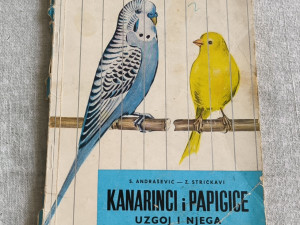 Stjepan Andrašević i Zvonko Stričkavi - Kanarinci i papigice