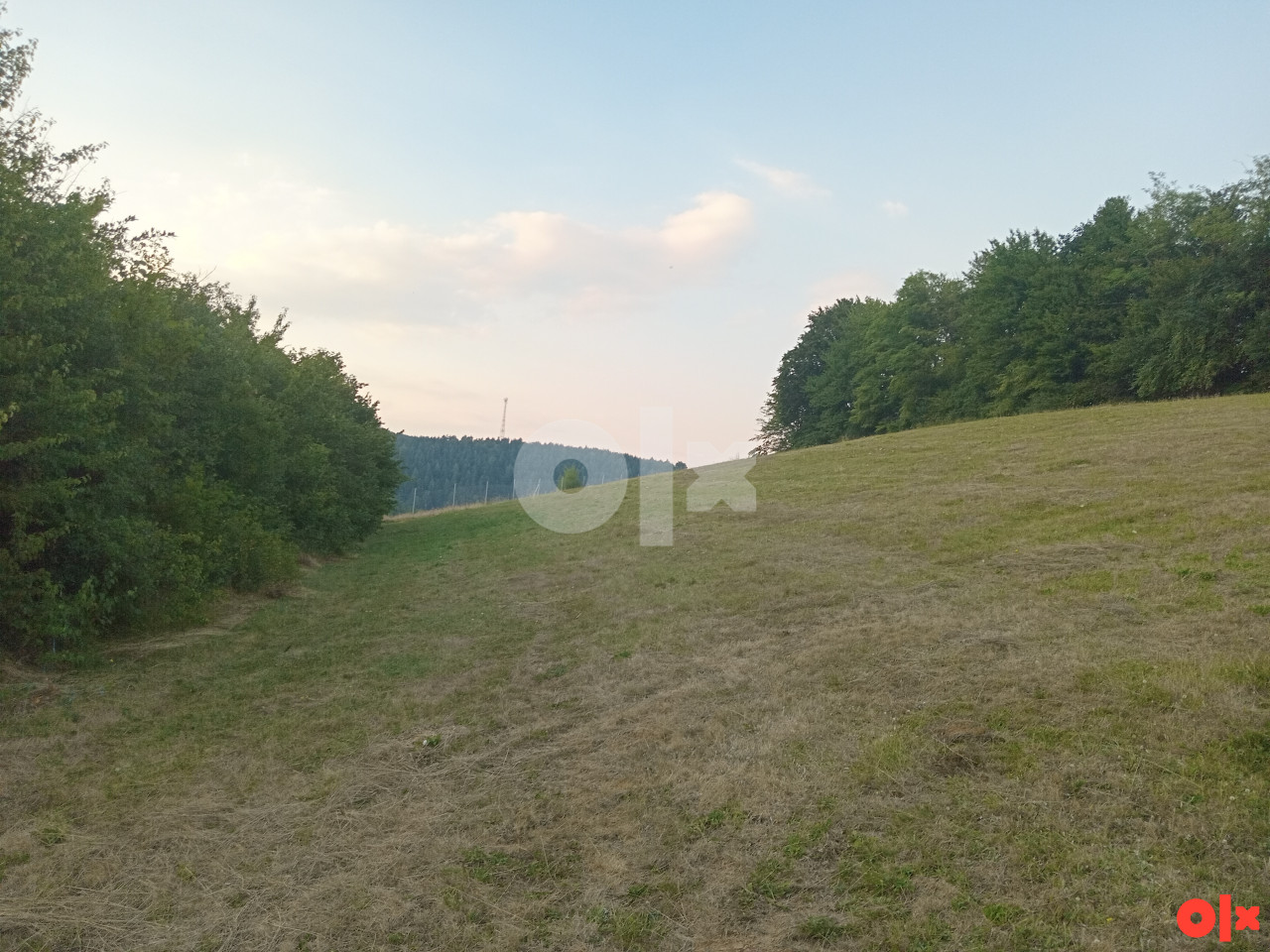 Zemljište Rastelica 5900m2 3
