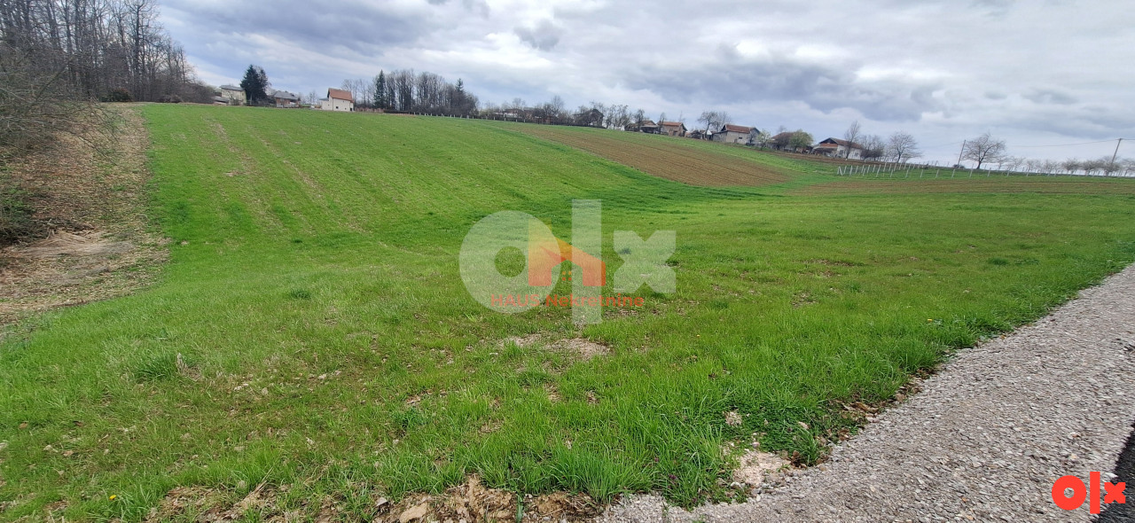 PRODAJA ZEMLJIŠTA - KRČMARICE - 3000 m² - MOGUĆA PARCELIZACIJA - Prikaz 4