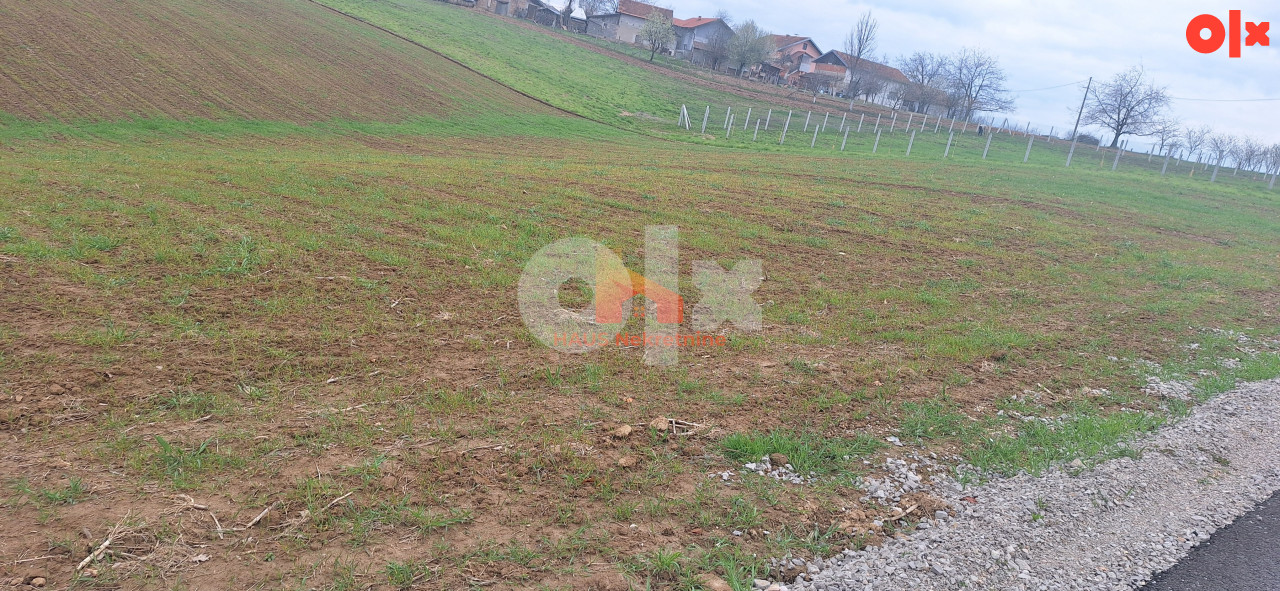 PRODAJA ZEMLJIŠTA - KRČMARICE - 3000 m2 - MOGUĆA PARCELIZACIJA 11