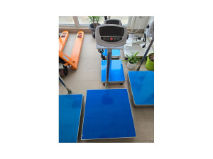 Digitalna (robna) platformska vaga 450x600 - 300 kg