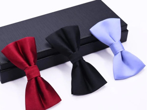 Leptir masne razne boje Viber 061398131