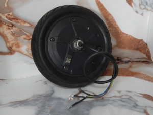 motor za segway F25/30/40