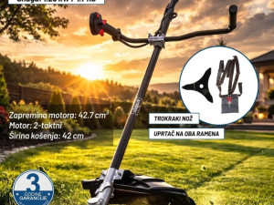 Scheppach motorni trimer za travu BCGT4250