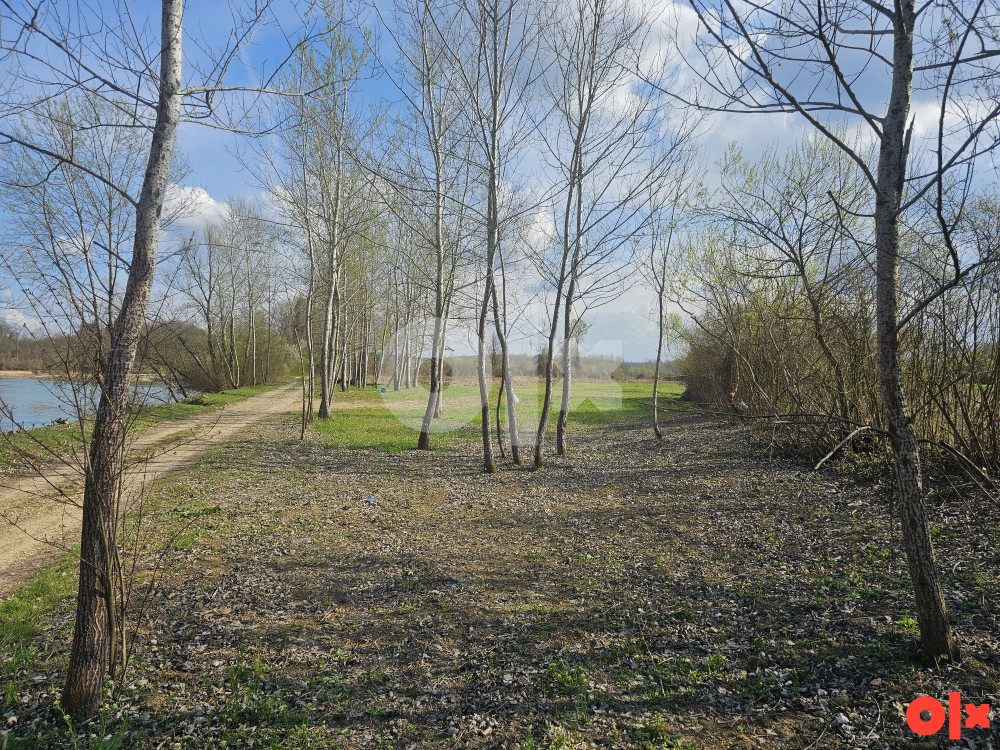 Zemljište Srbac