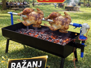 razanj za pilice sa lozistem