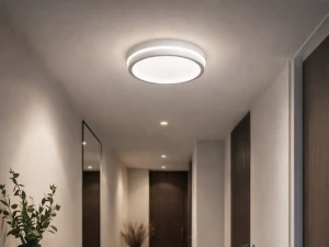 PLAFONJERA FRANKA EL-1019 24W 3CCT, BIJELA