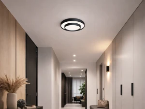 PLAFONJERA FRANKA EL-1019 24W 3CCT, CRNA