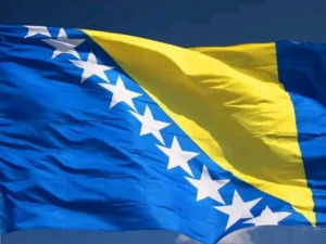 Zastava / zastave BiH