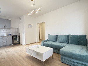 Trosoban stan bez ulaganja, Batva