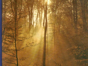 Andre Malraux - Nada