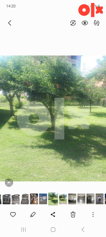 Kuća Šamac Cara Dusana 50 2