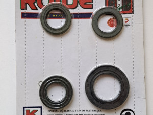 Set semeringa semerinzi skuter 4t gy6 125 150