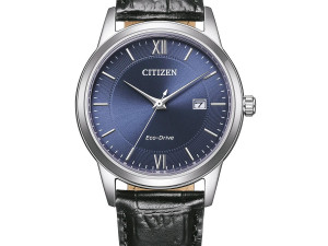 DETAS.BA Citizen muški sat AW1780-17L