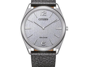 DETAS.BA Citizen muški sat AR3120-16A