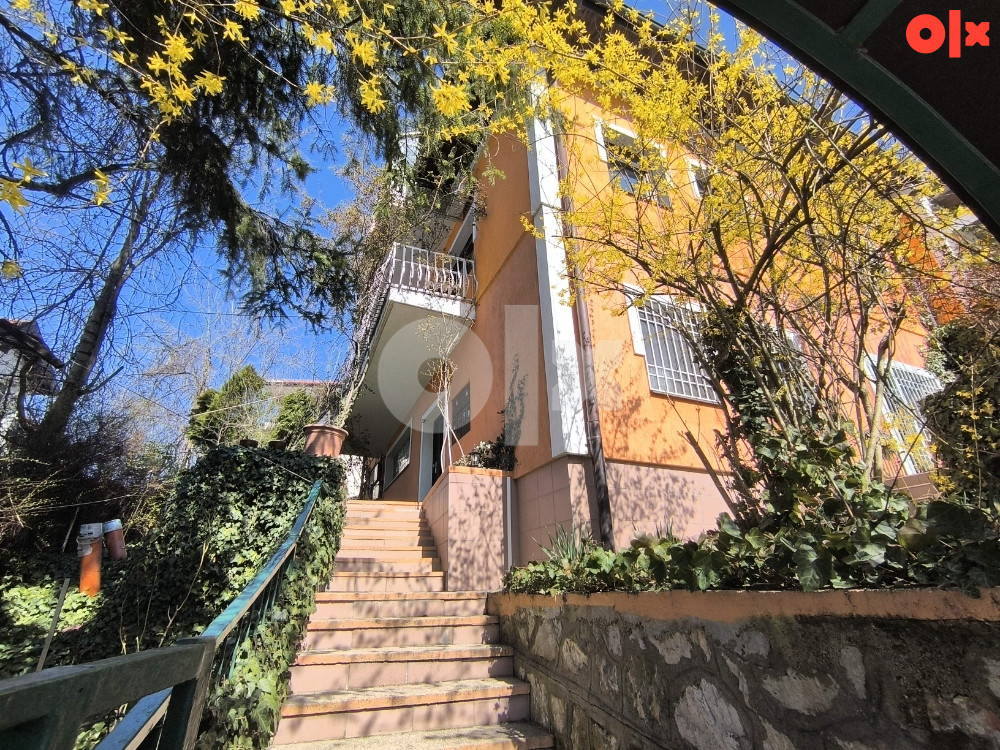 IDEALNA KUĆA NA PREMIUM LOKACIJI, VELIKI ALIFAKOVAC