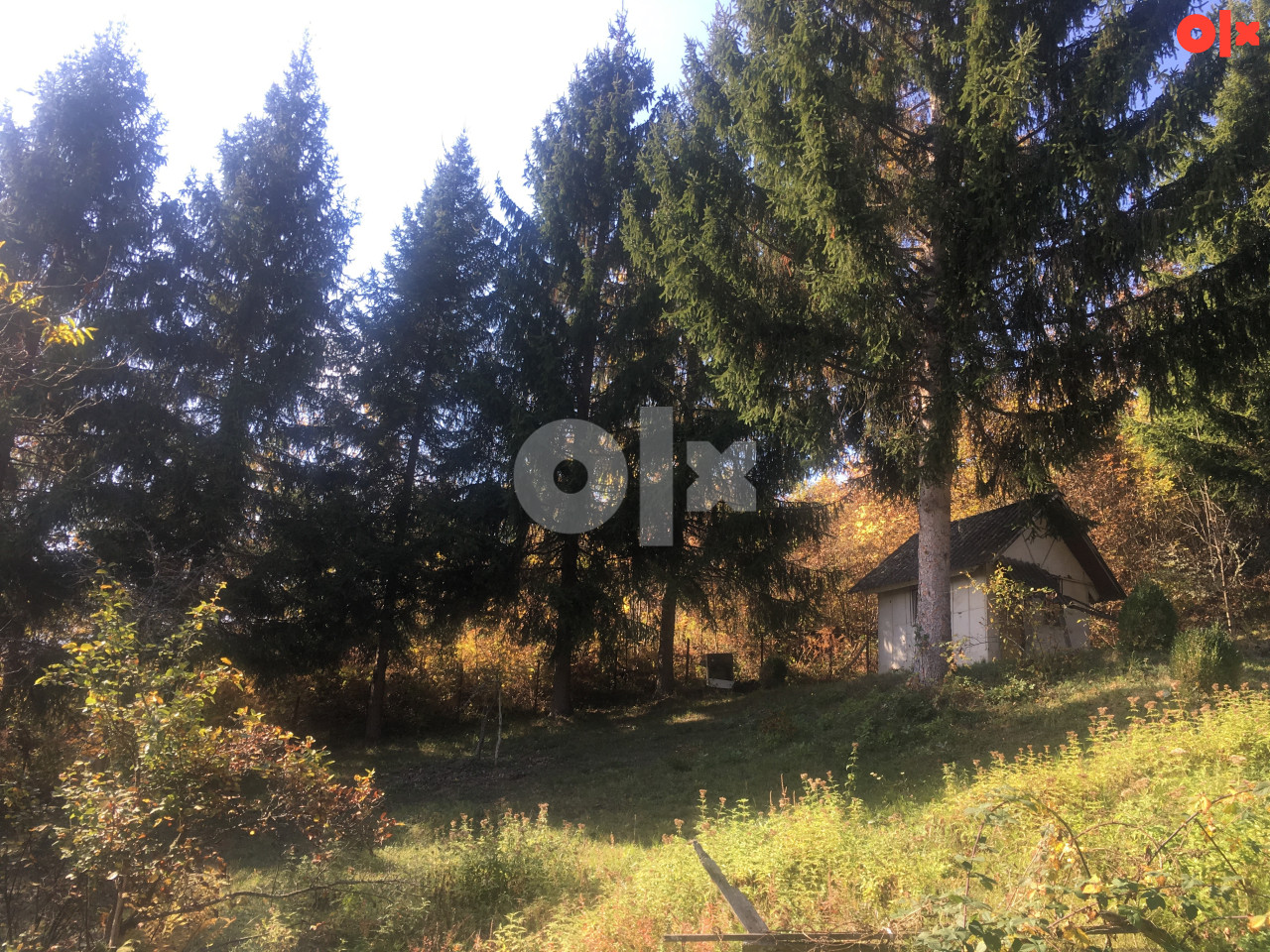 Imanje sa vikendicom, izvorom vode i voćem, 8 km od Foce 2