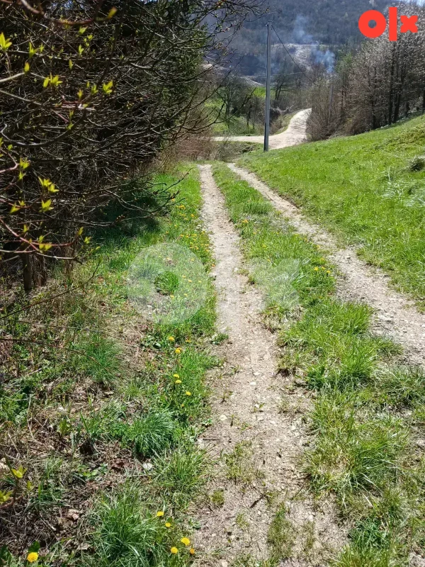 Prodaje se zemljište sa kućom i pomoćnim objektom 3