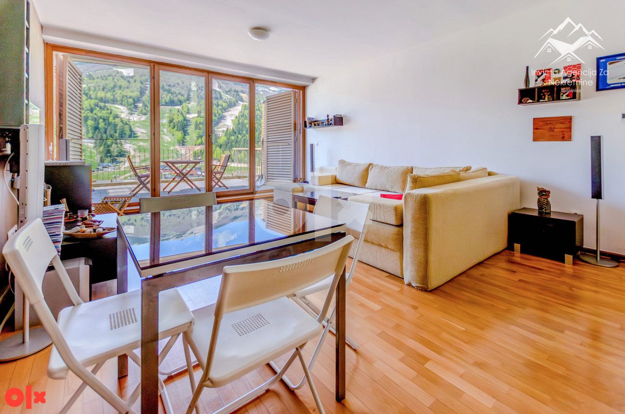 Bjelašnica Apartman 42 m2, pogled na ski staze, sunčana strana 8